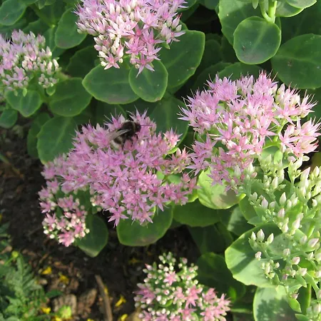 Nahe & Reiten Hébergement de vacances