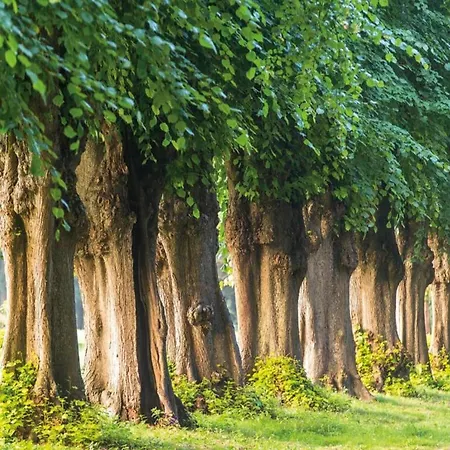 Hébergement de vacances Nahe & Reiten