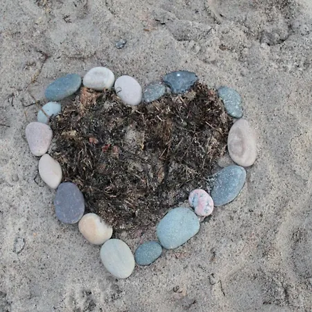 Nahe & Reiten Börgerende-Rethwisch