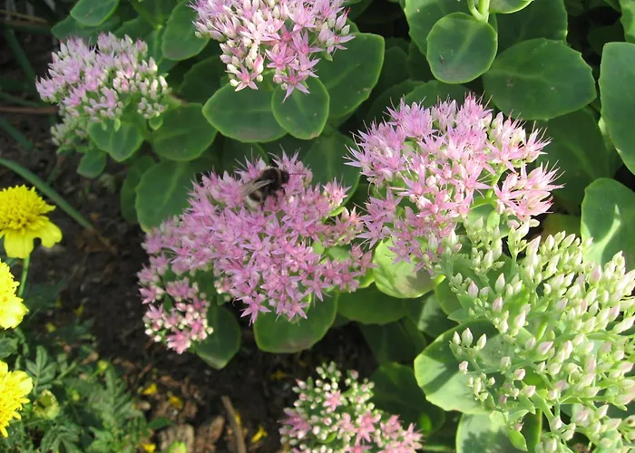 Nahe & Reiten בית נופש