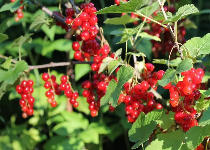 בית נופש Nahe & Reiten Börgerende-Rethwisch