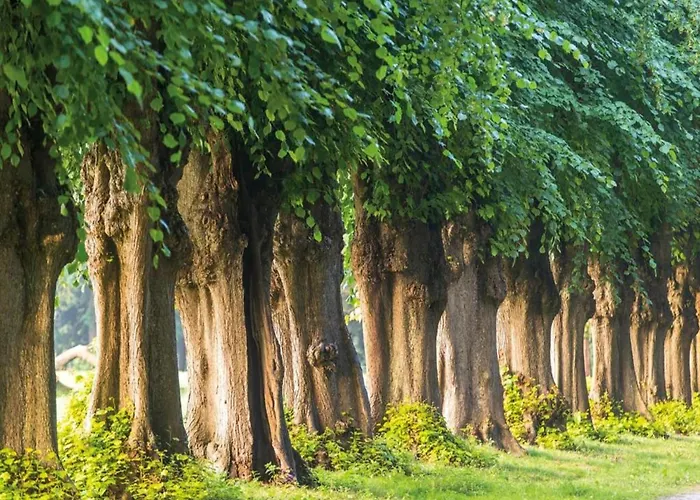 בית נופש Nahe & Reiten