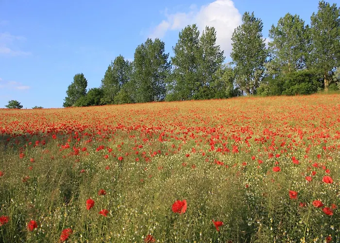 Nahe & Reiten בית נופש Börgerende-Rethwisch